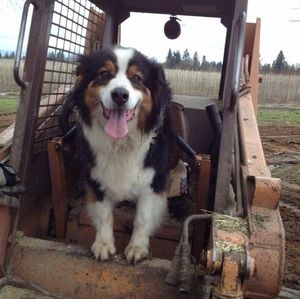 Meet your Posher, Tammy